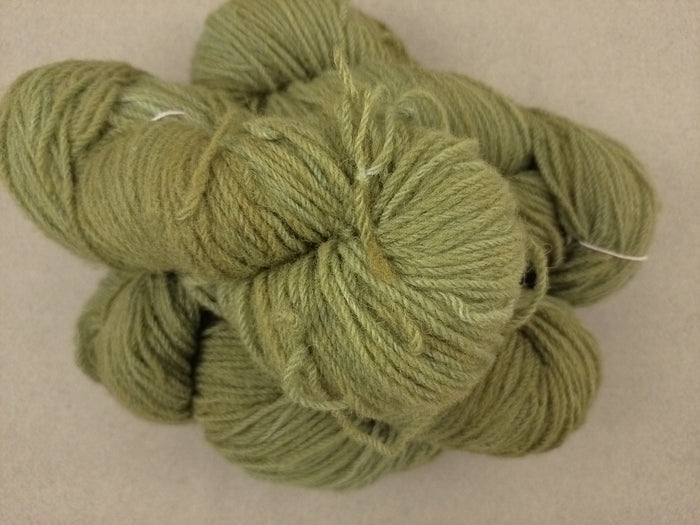La Tit'insulaire - Vert Olive