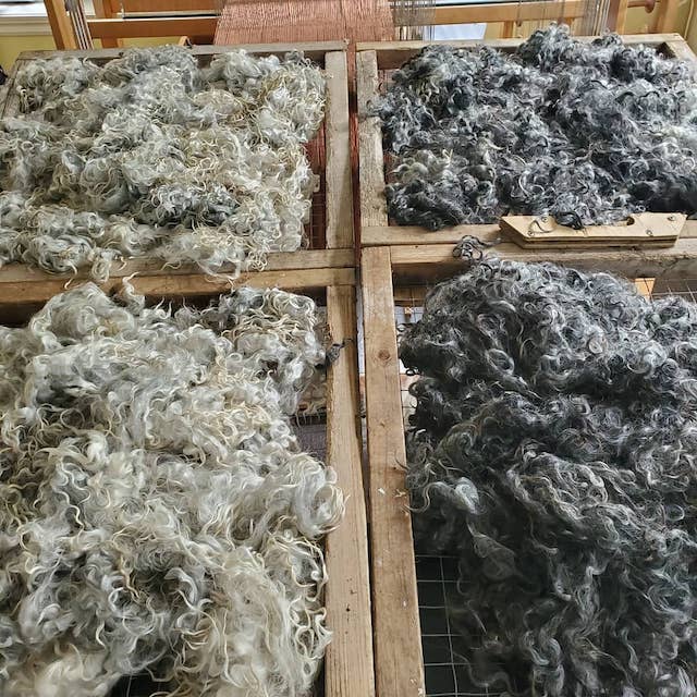 Nos Fibres de Laine - Pour l'Art Textile
