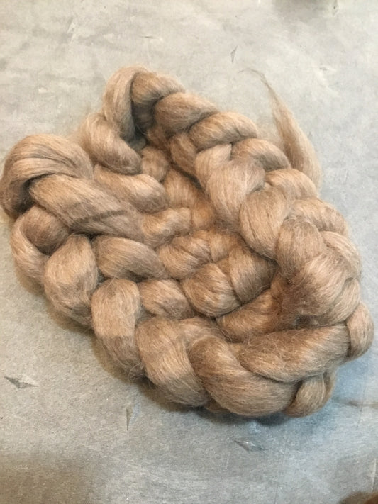Lama - Local Québec Fibre