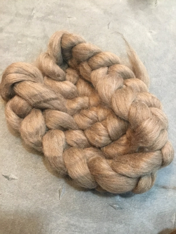 Lama - Local Québec Fibre