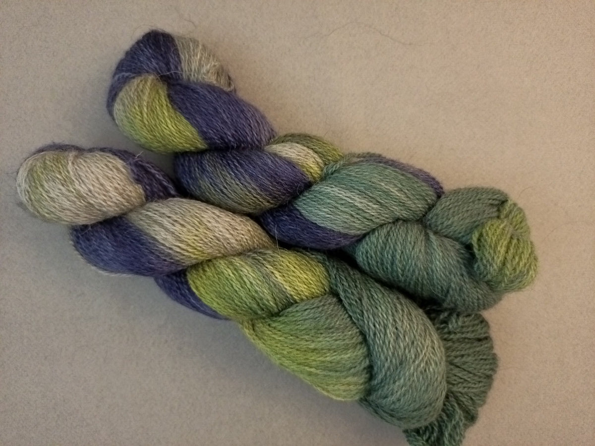 La Délicate - Tartan