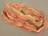 La MAN - Mangue