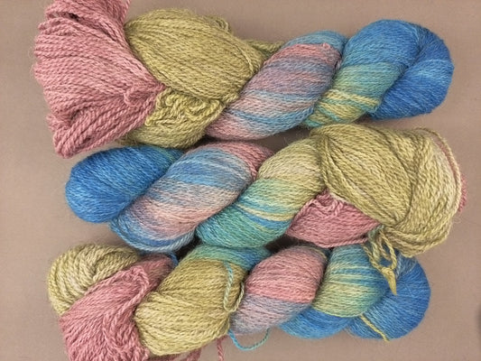 La Délicate - Myosotis