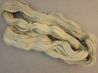 Goat's Beard - Wheat