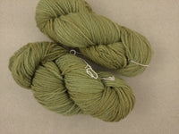 La Tit'insulaire - Vert Olive