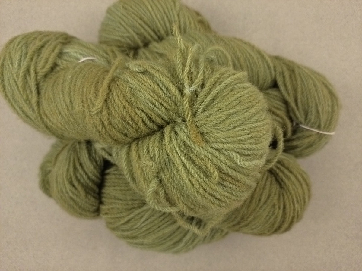 La Tit'insulaire - Vert Olive