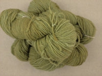 La Tit'insulaire - Vert Olive